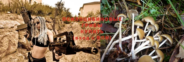 не бодяженный Волосово