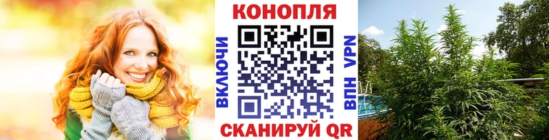 Конопля конопля  Городовиковск 